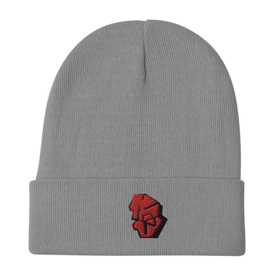ADMIN KNOWLEDGE HEAD Beanie