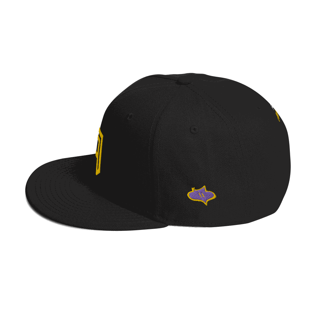 ADMIN ALPHA Snapback