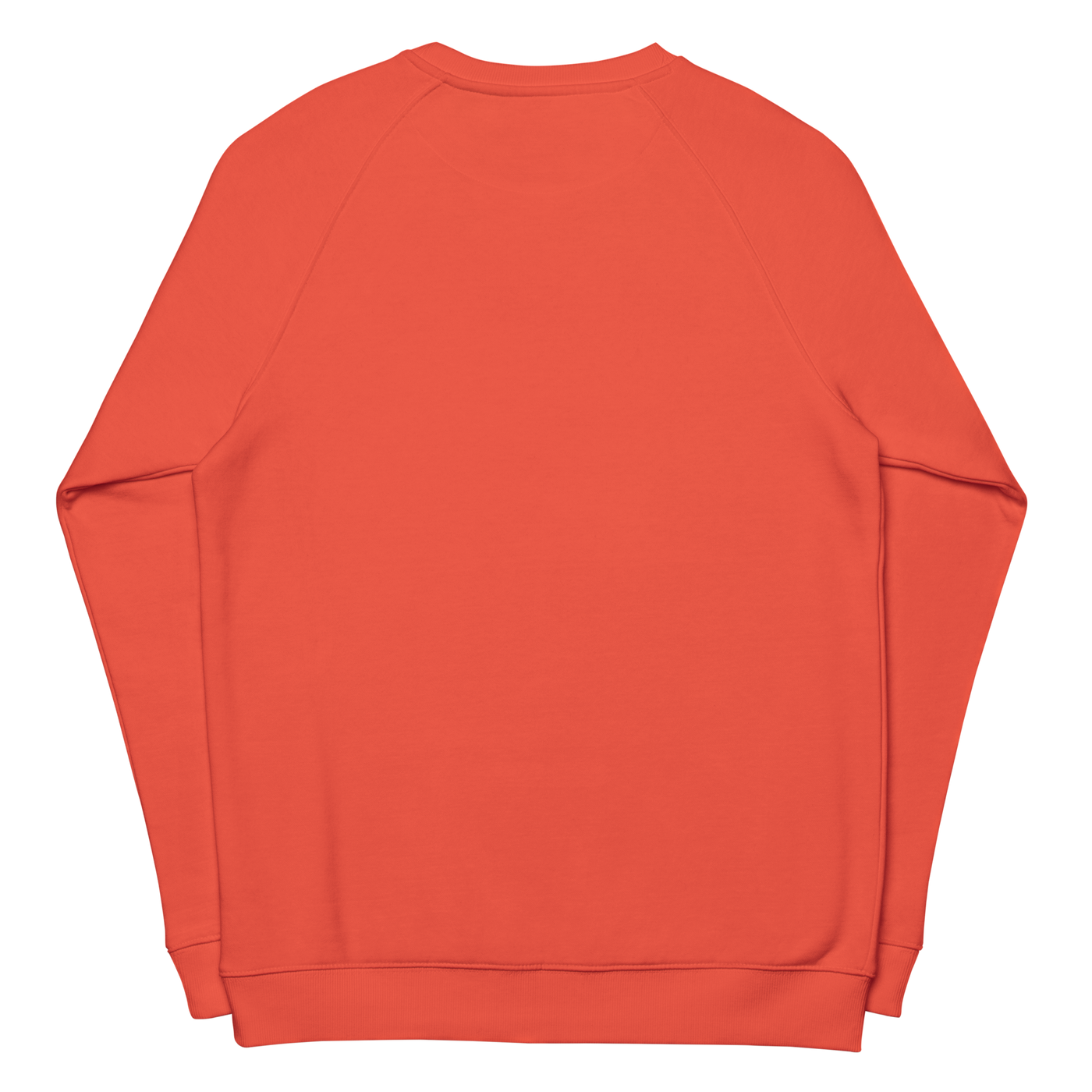 ADMIN Bear Facts long sleeve