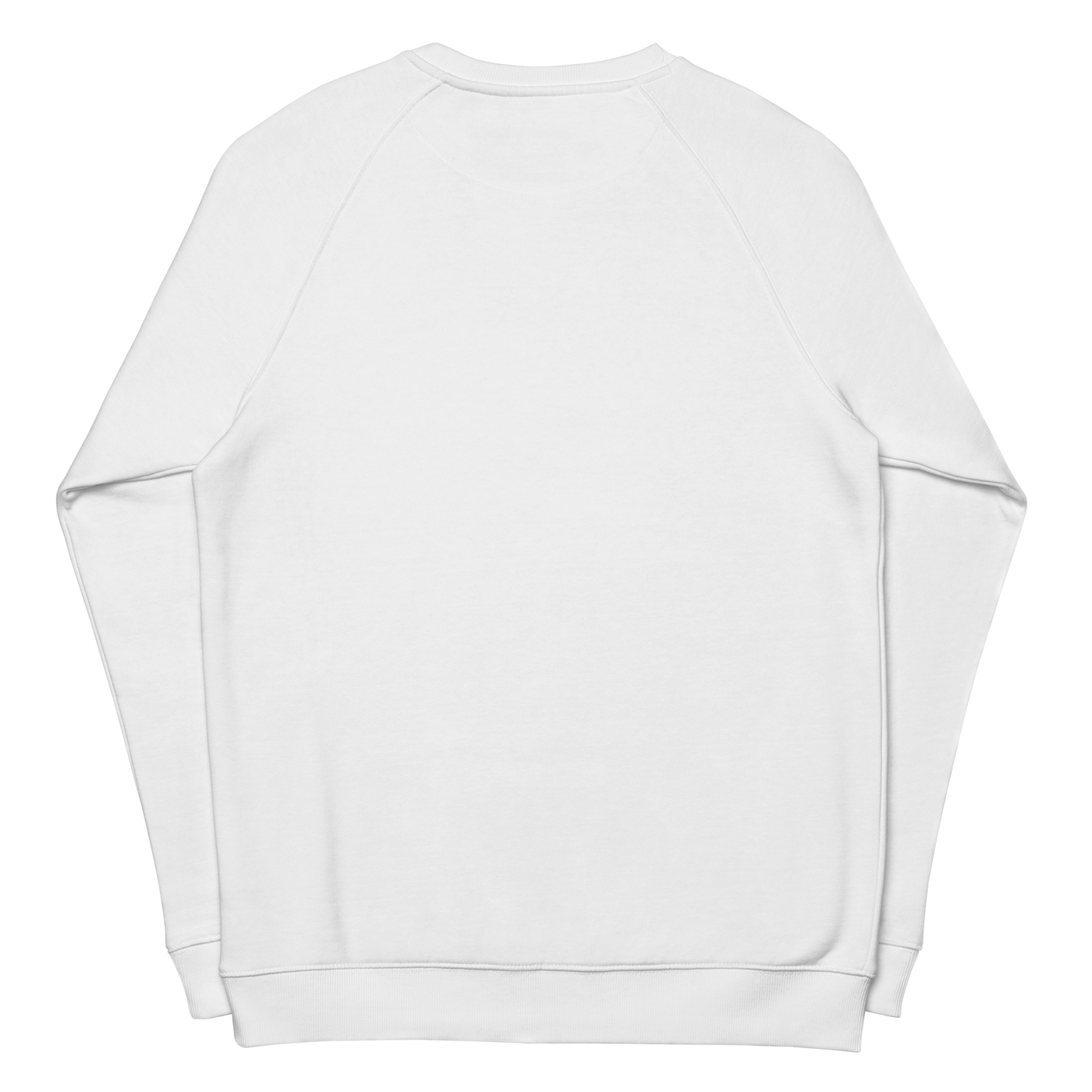ADMIN Bear Facts long sleeve