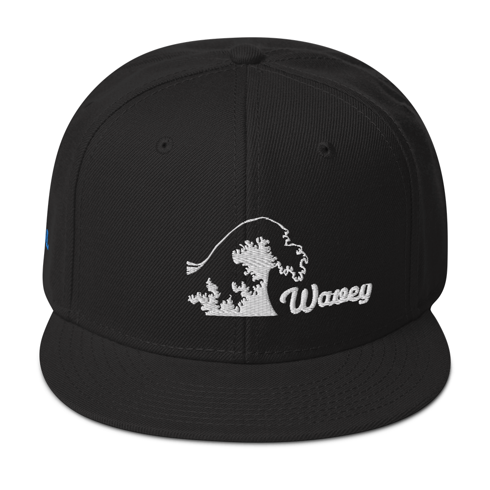 ADMIN WAVEY LIFE Snapback Hat