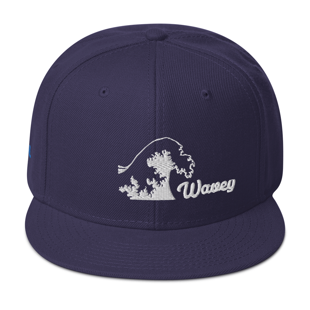 ADMIN WAVEY LIFE Snapback Hat