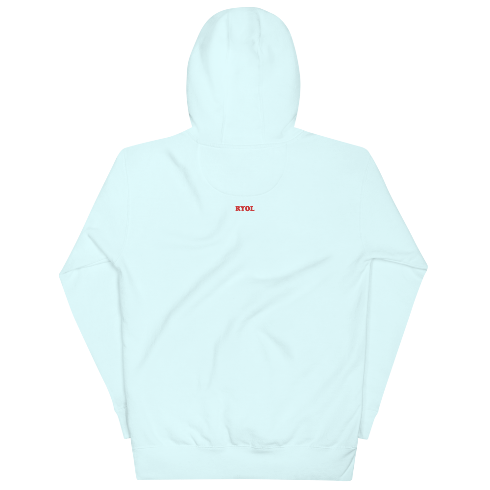 Unisex Hoodie The Heavyweight, Head-Turning Pullover | You Need ADMIN LIVING PROOF EMPIRE STATE Unisex Hoodie